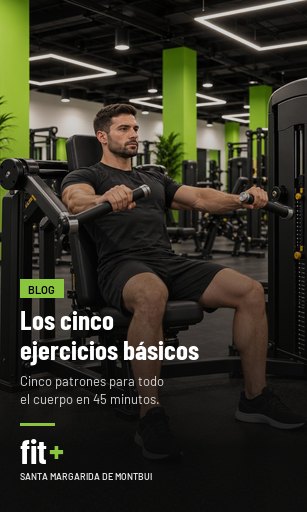 Los cinco ejercicios que sostienen cualquier rutina
