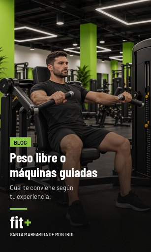 Peso libre o máquinas guiadas: cuál te conviene