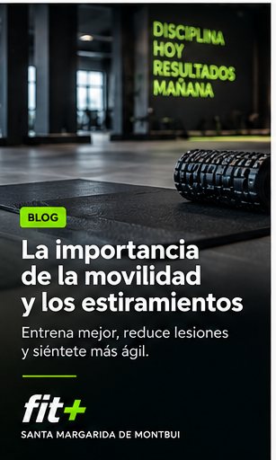La importancia de la movilidad y los estiramientos