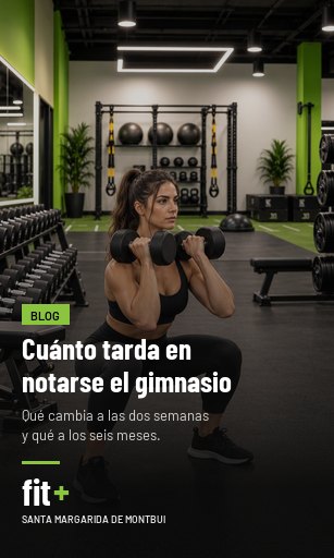 Cuánto tarda en notarse el gimnasio